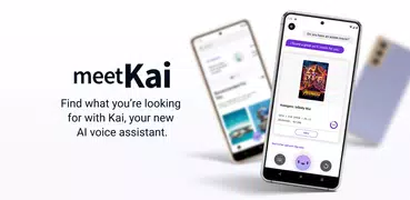 MeetKai VA Demo