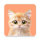 Fonds d'écran chat: Chat mignon icône