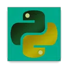 Learn Python иконка