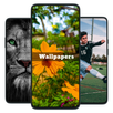 Wallpapers 4K,HD APK