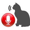 Cat Translator Game - Communicate with Animals