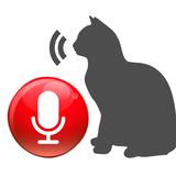 Cat Translator Game - Communicate with Animals icône