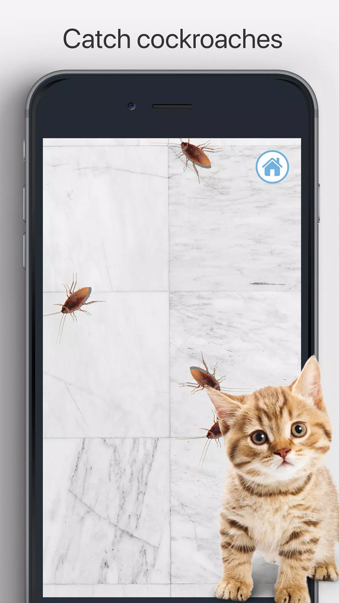 Meow Jogos para Gatos Filhotes – Apps no Google Play