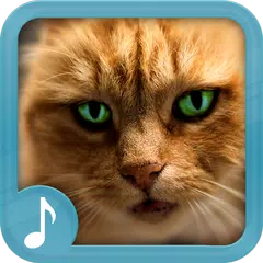 猫の鳴き声 -  猫の着メロ アプリダウンロード