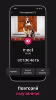 Английский язык. Учить слова captura de pantalla 2
