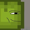 melon playground skins