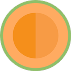 Melon-icoon