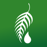 ”Melaleuca Shopping : Australia