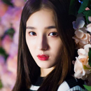 APK Momoland Wallpaper HD 4K