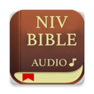 Bible Audio, NIV