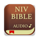 Bible Audio, NIV APK