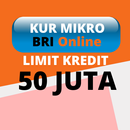 KUR BRI Online Panduan Kredit Usaha Hingga 50 juta APK