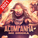 Mc Dricka - Seu Pa Vacilou DJ TH 2021 ( Offline ) APK