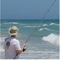 Surfcasting - wymiary, okresy, limity ochronne