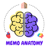 MemoAnatomy-NEETPG & Univ Prep icono