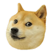 Memes stickers for whatsapp