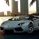 Furious Lamborghini Aventador Wallpaper APK