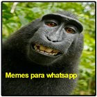 memes para whatsapp иконка