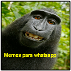 memes para whatsapp Zeichen