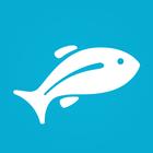 Previsión de pesca: Fishbox icono