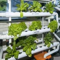 plant hydroponics screenshot 1