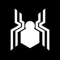 Spider Wallpaper 4K HD
