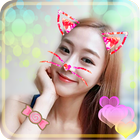 Cat Face Camera Editor ไอคอน