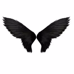 Wings Photo Editor APK 下載