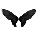 Wings Photo Editor APK