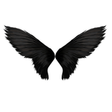 Wings Photo Editor 아이콘