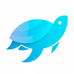 download 海龟加速器-一键解锁国内应用，帮助海外华人快速回国的VPN APK