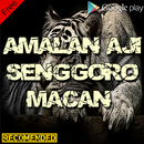 Aji Senggoro Macan Ampuh & Terbaik APK