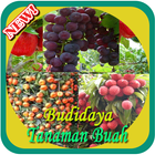 Budidaya Tanaman Buah آئیکن