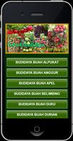 Budidaya Tanaman Buah โปสเตอร์