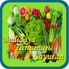 Budidaya Tanaman Sayuran ícone