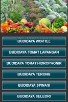 Budidaya Tanaman Sayuran پوسٹر