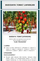Budidaya Tanaman Sayuran تصوير الشاشة 1