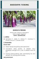 برنامه‌نما Budidaya Tanaman Sayuran عکس از صفحه