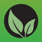 Mentorleaf icono