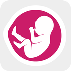 Pregnancy Kick Counter - Monit icon