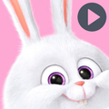 Snowball Rabbit Stickers