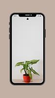 Plants Wallpapers screenshot 2