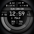 Digital Watch Face Pro Black আইকন