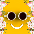 Bonjour Bonsoir Bonne Nuit