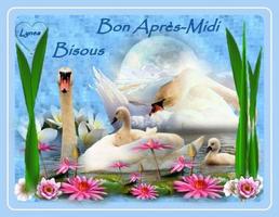 Bonjour постер