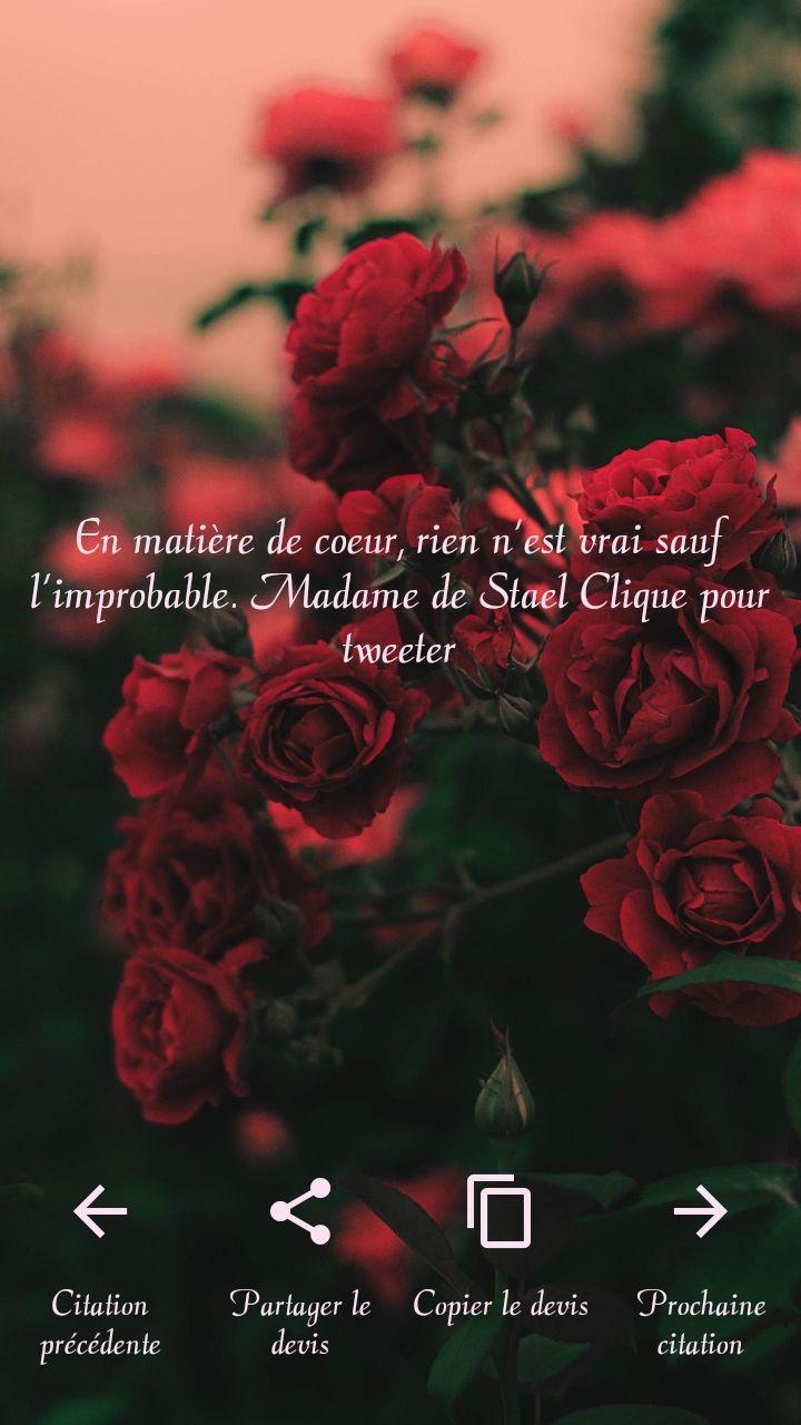 Citations Sur Lamour Citations Damour For Android