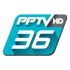 PPTVHD36 ícone