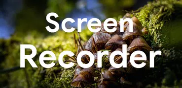 ScrRec: запись видео с экрана