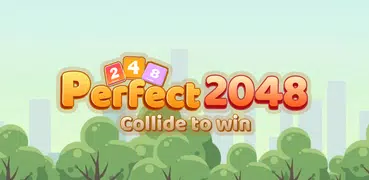 Perfect 2048