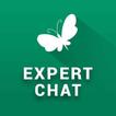 Expert Chat